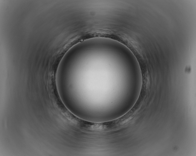 X0000090890225200707271339