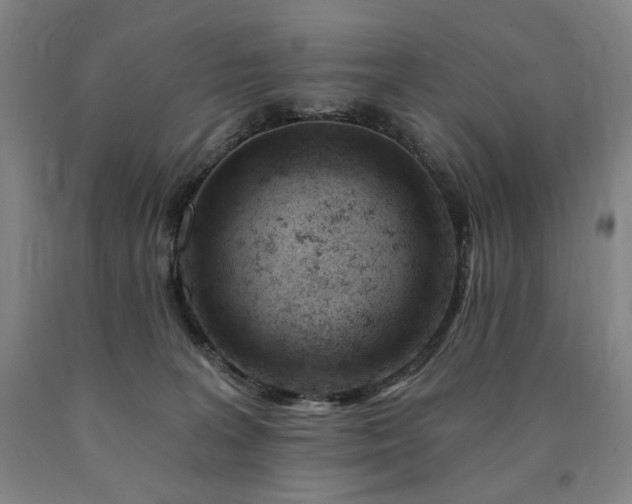 X0000090890227200707271339