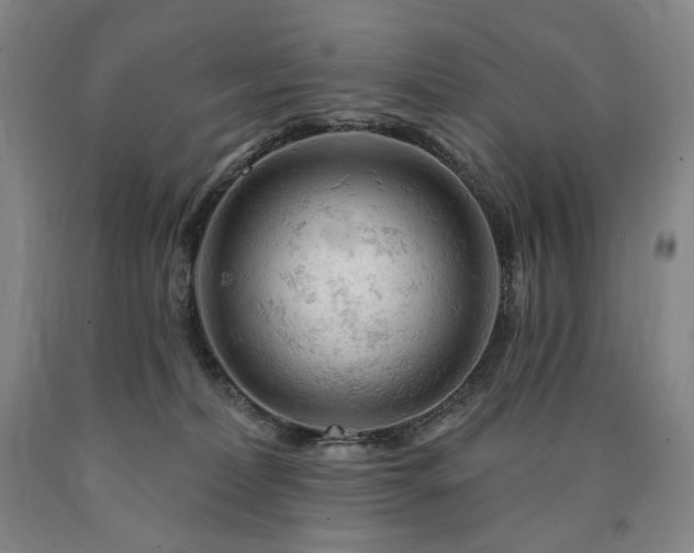 X0000090890228200707271339