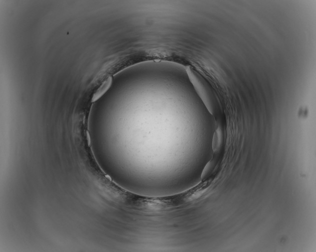 X0000090890229200707271339