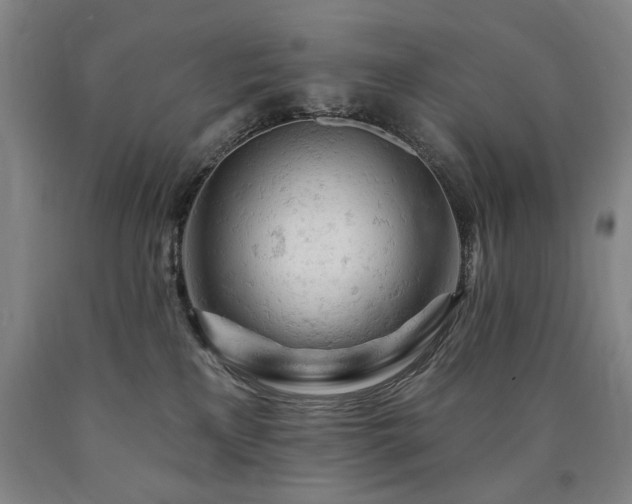 X0000090890233200707271339