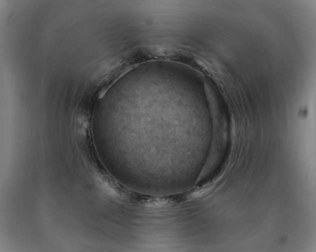 X0000090890235200707271339