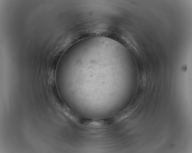 X0000090890236200707271339