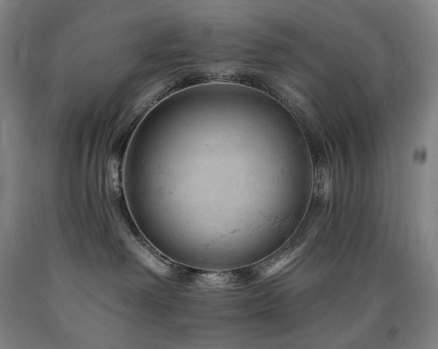 X0000090890238200707271339