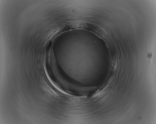 X0000090890239200707271338