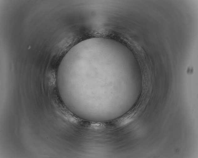 X0000090890240200707271338