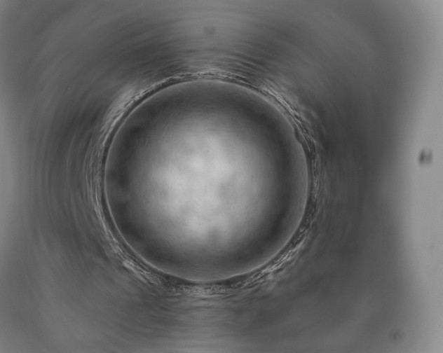 X0000090890241200707271338