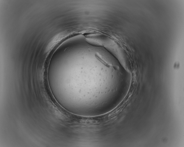 X0000090890242200707271338