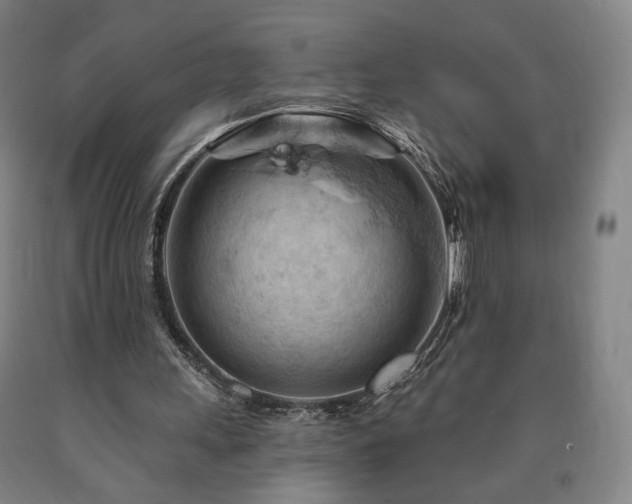 X0000090890243200707271338