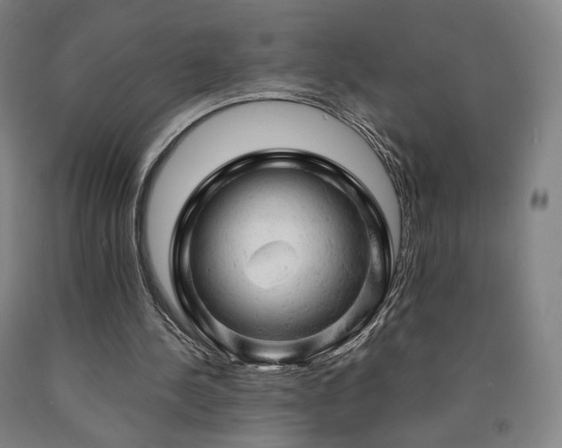 X0000090890244200707271338