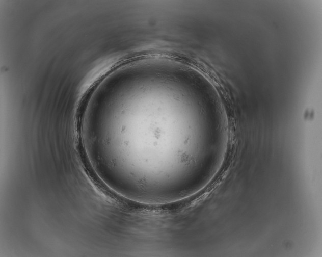 X0000090890245200707271338