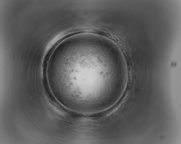 X0000090890246200707271338