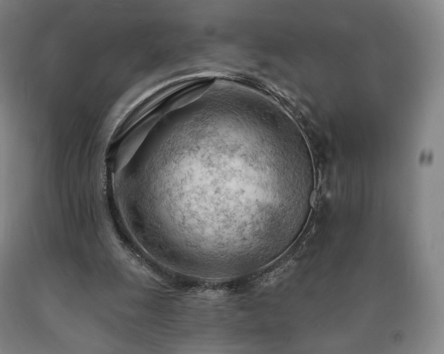 X0000090890247200707271338