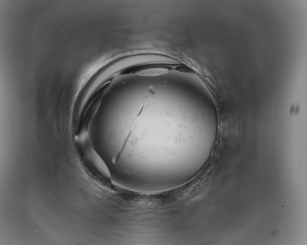 X0000090890248200707271338