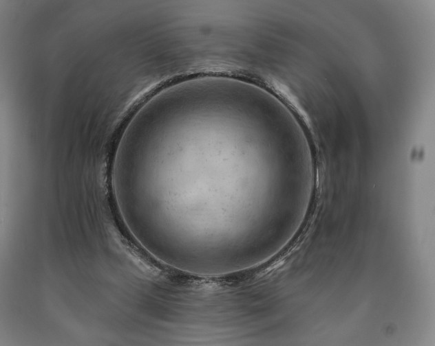 X0000090890249200707271338