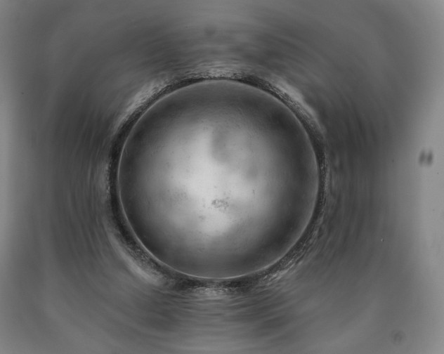 X0000090890250200707271338