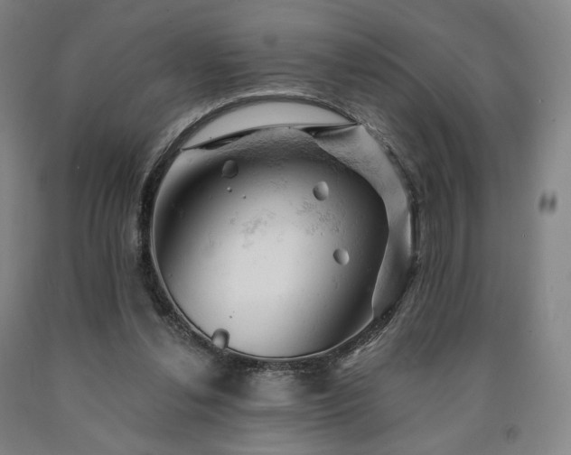 X0000090890252200707271338