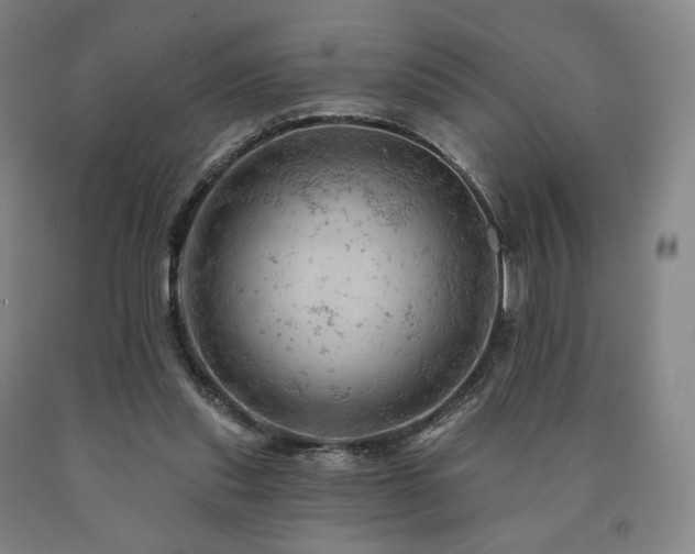 X0000090890253200707271338