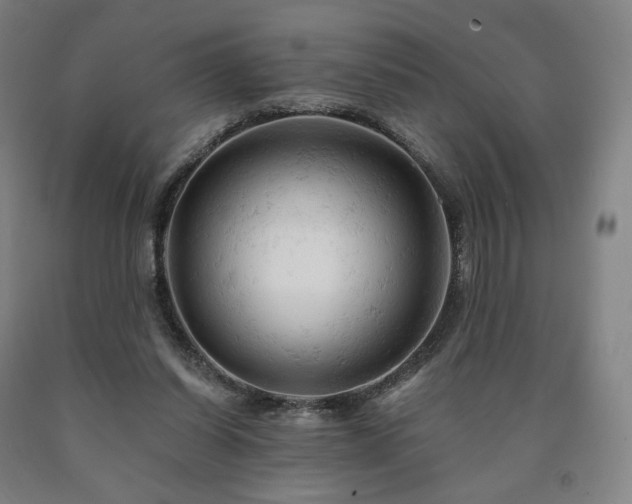 X0000090890254200707271338