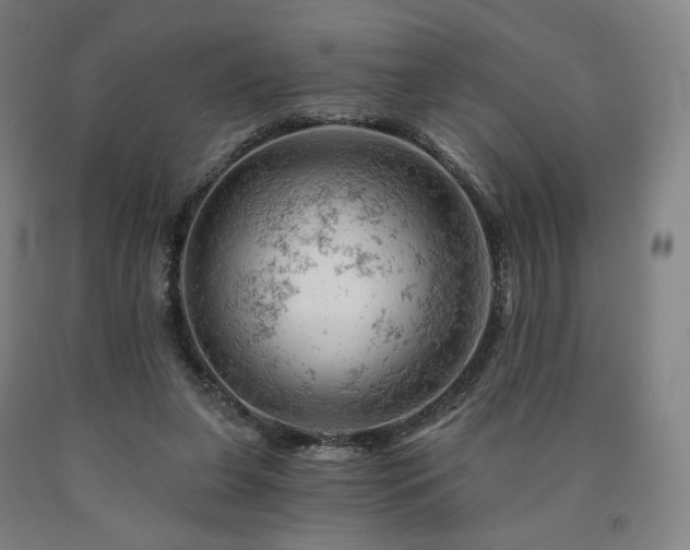 X0000090890255200707271338