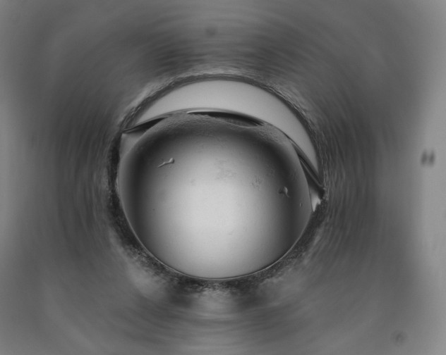 X0000090890256200707271338