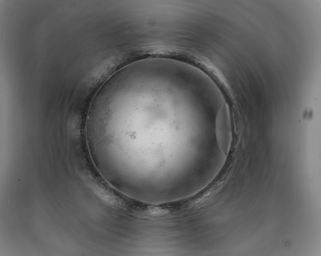 X0000090890257200707271338