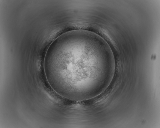 X0000090890259200707271338