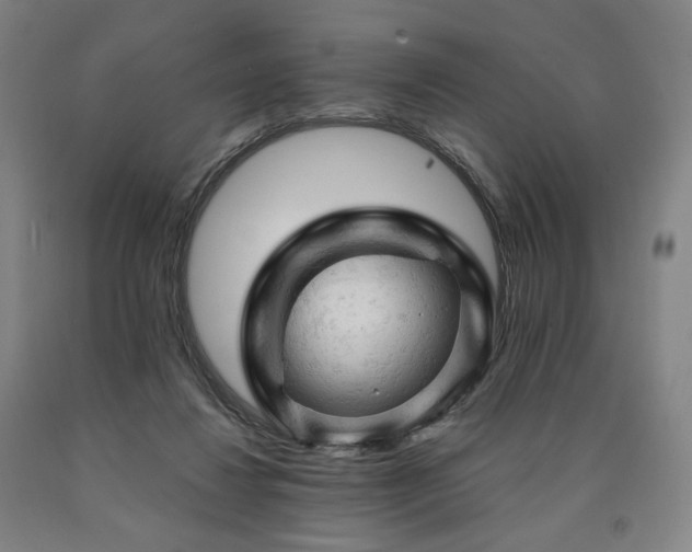 X0000090890260200707271338