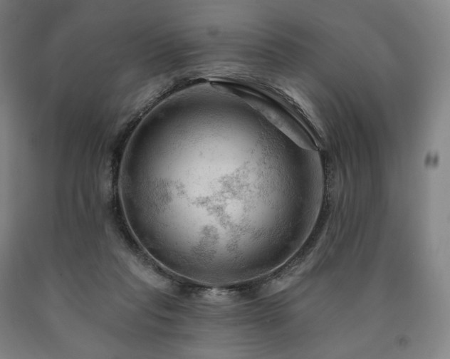 X0000090890261200707271338