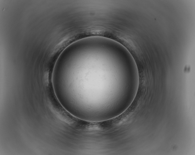 X0000090890262200707271338