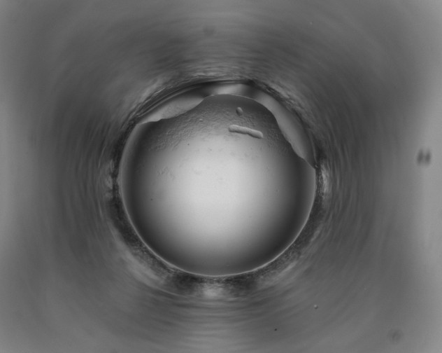 X0000090890264200707271338