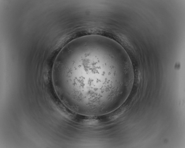 X0000090890266200707271338