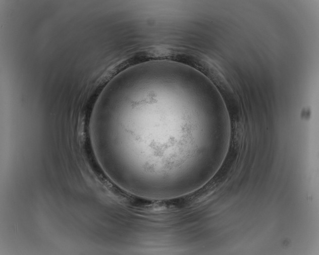 X0000090890267200707271338