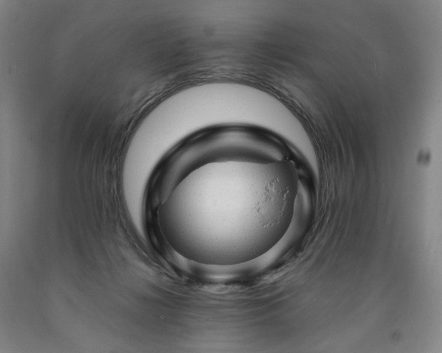 X0000090890268200707271338