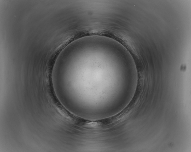 X0000090890269200707271338