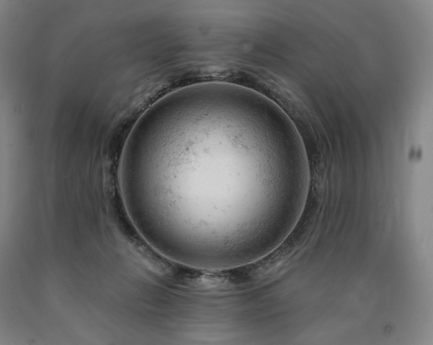 X0000090890270200707271338