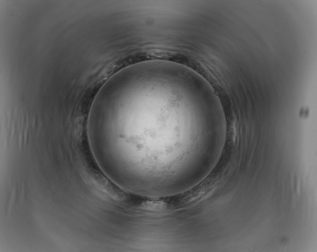 X0000090890271200707271338