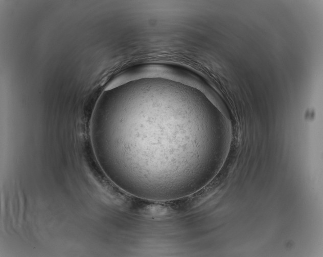 X0000090890272200707271338