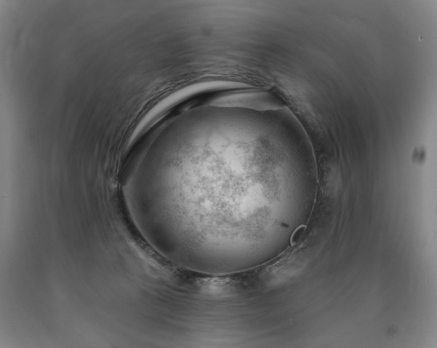 X0000090890273200707271338