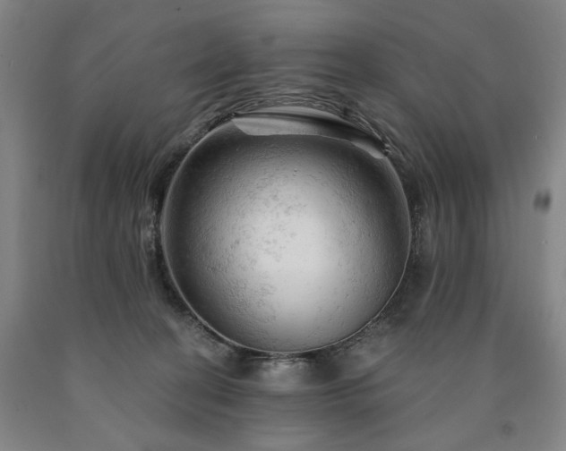 X0000090890274200707271338