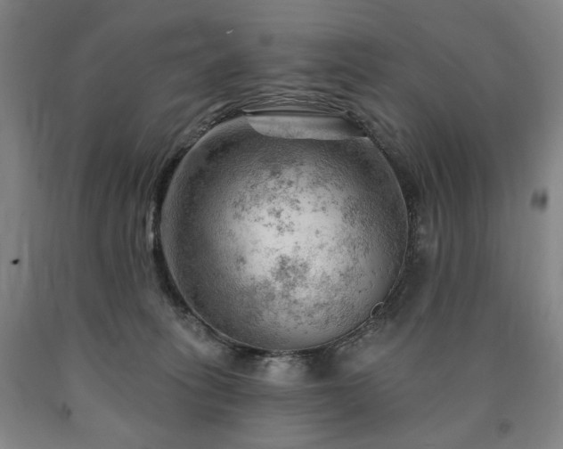 X0000090890275200707271338