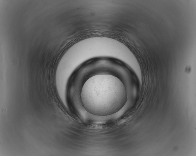 X0000090890276200707271338