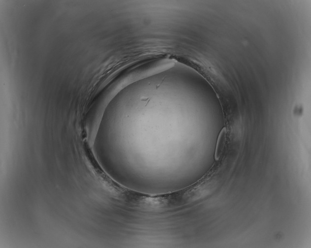 X0000090890277200707271338