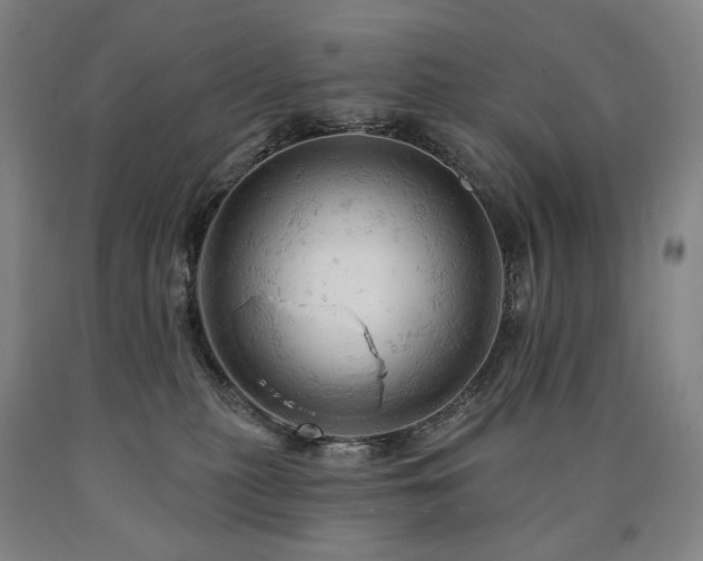 X0000090890279200707271338