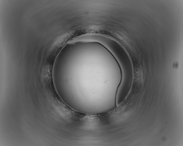 X0000090890280200707271338