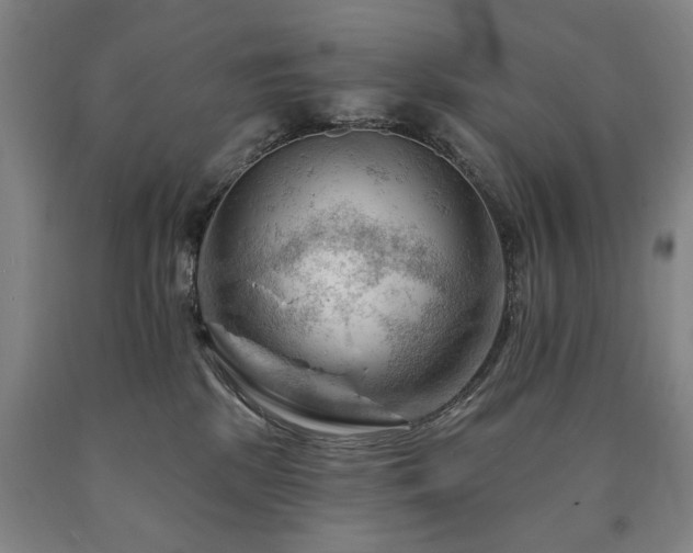 X0000090890281200707271338