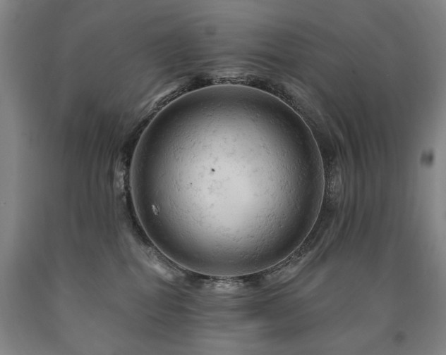 X0000090890282200707271338