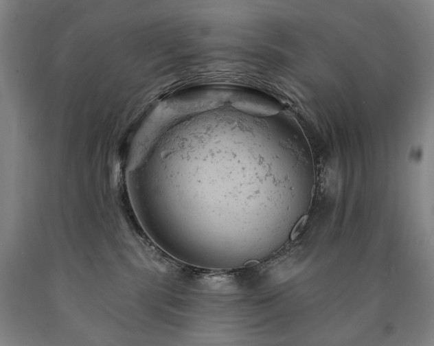 X0000090890283200707271338