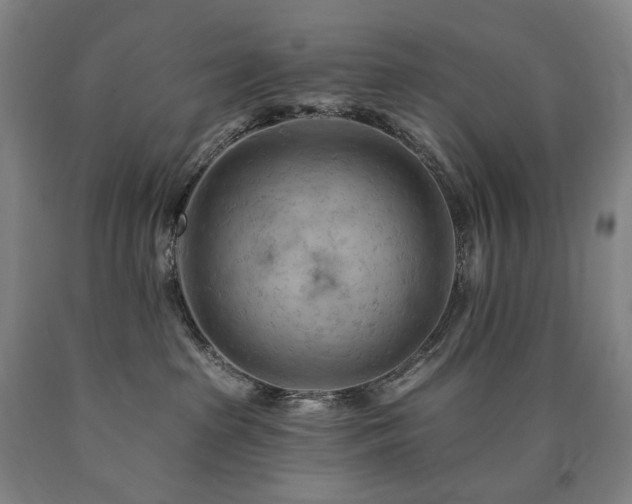 X0000090890285200707271338