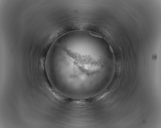 X0000090890286200707271338